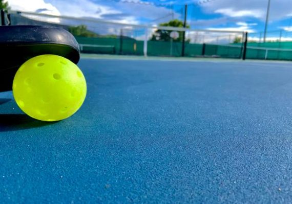 Constructeur court de pickleball